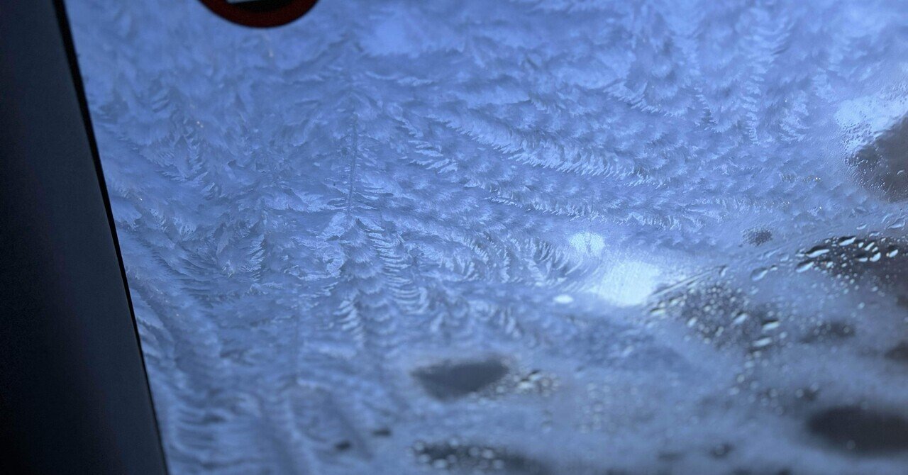 イーロンマスクは何を見ている|tanu