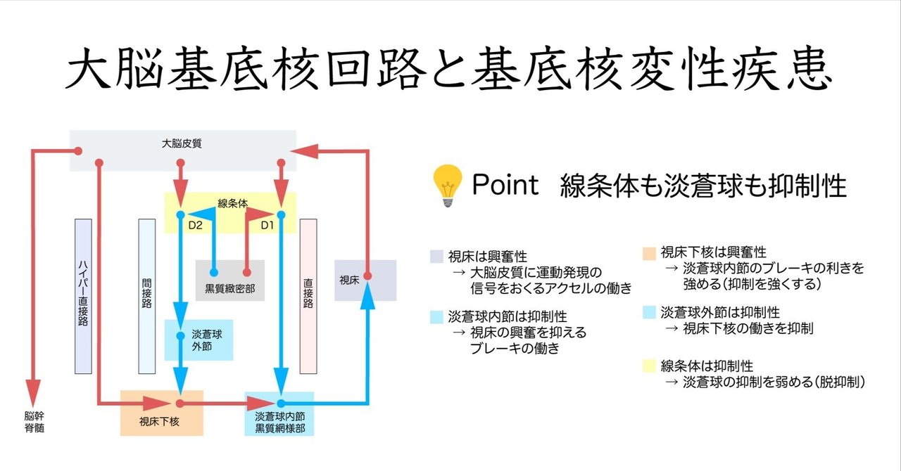 線条体 神経科学の基礎と臨床２/ブレ-ン出版/板倉徹（単行本） 線条体 神経科学の基礎と臨床2/ブレ-ン出版/板倉徹（単行本）