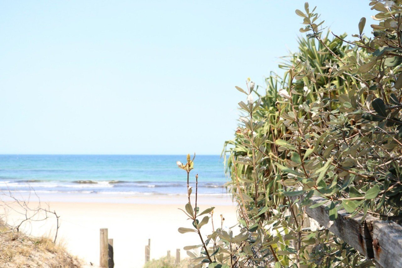 自然のなかに住まずに 気候変動なんてわかるわけがない Ryoko Note