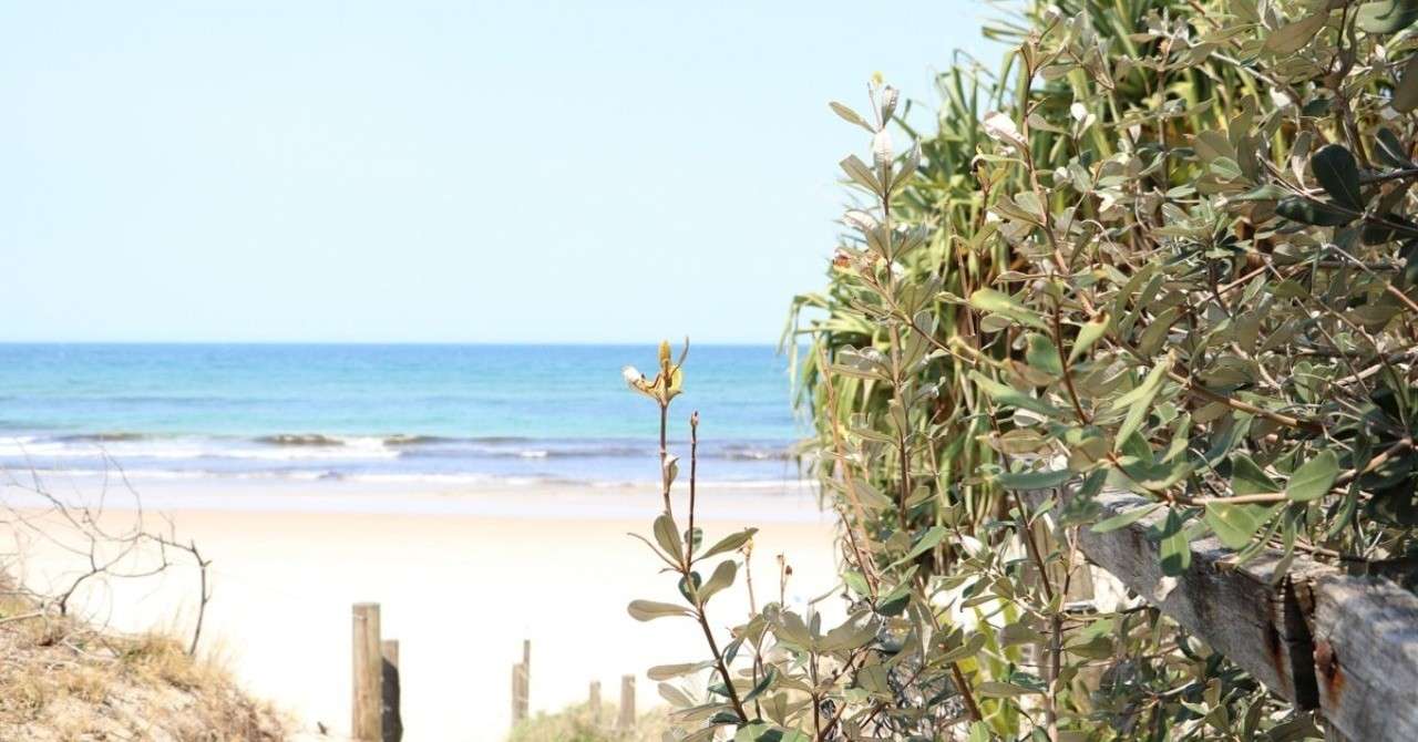 自然のなかに住まずに 気候変動なんてわかるわけがない Ryoko Note