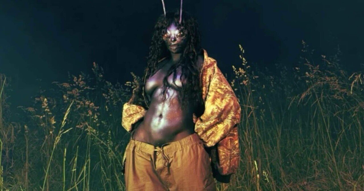 レコードまとめ売りSZA IO kendrik lamar campanella d04fe045.jpg