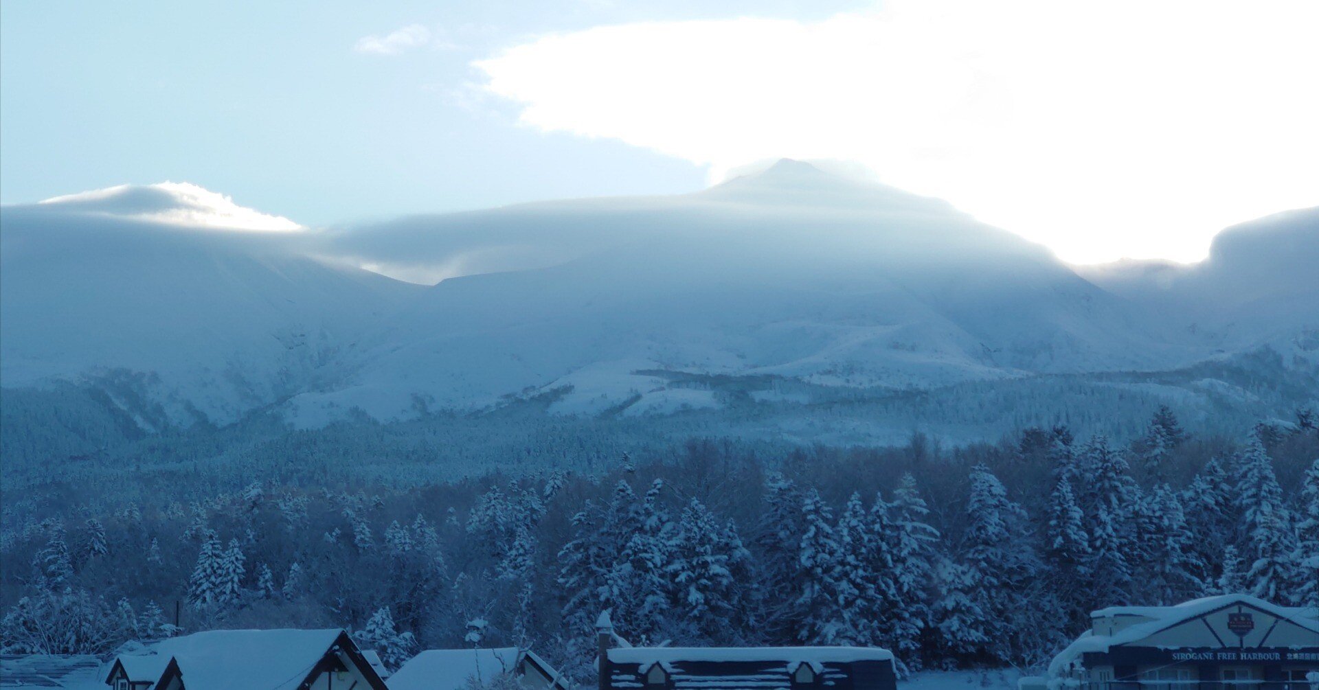 2b4ed6b0cb0d6e08e873e301f5b9dc