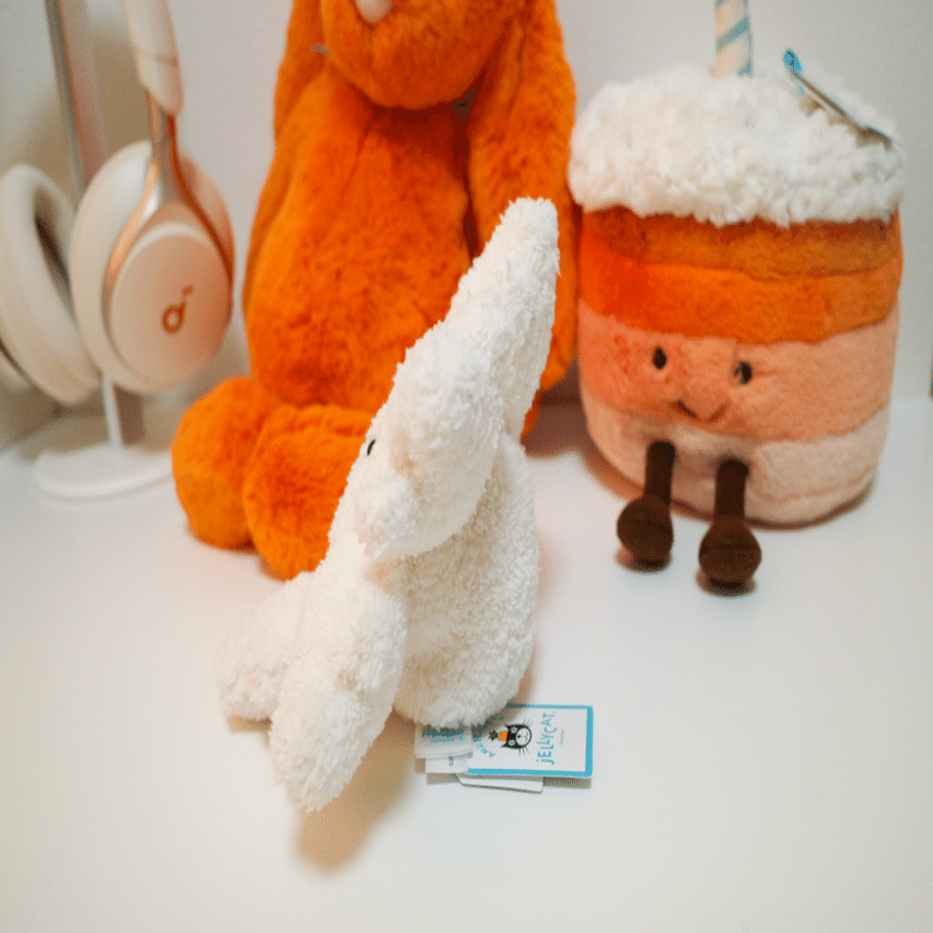 日本語訳で徹底紹介！我が家のジェリーキャットNo.21-30｜ハチ(ユリ)