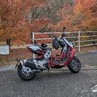 HAYA