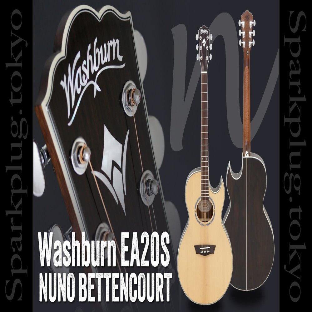 モア・ザン・ワーズ弾くならヌーノ・シグネイチャー・エレアコ