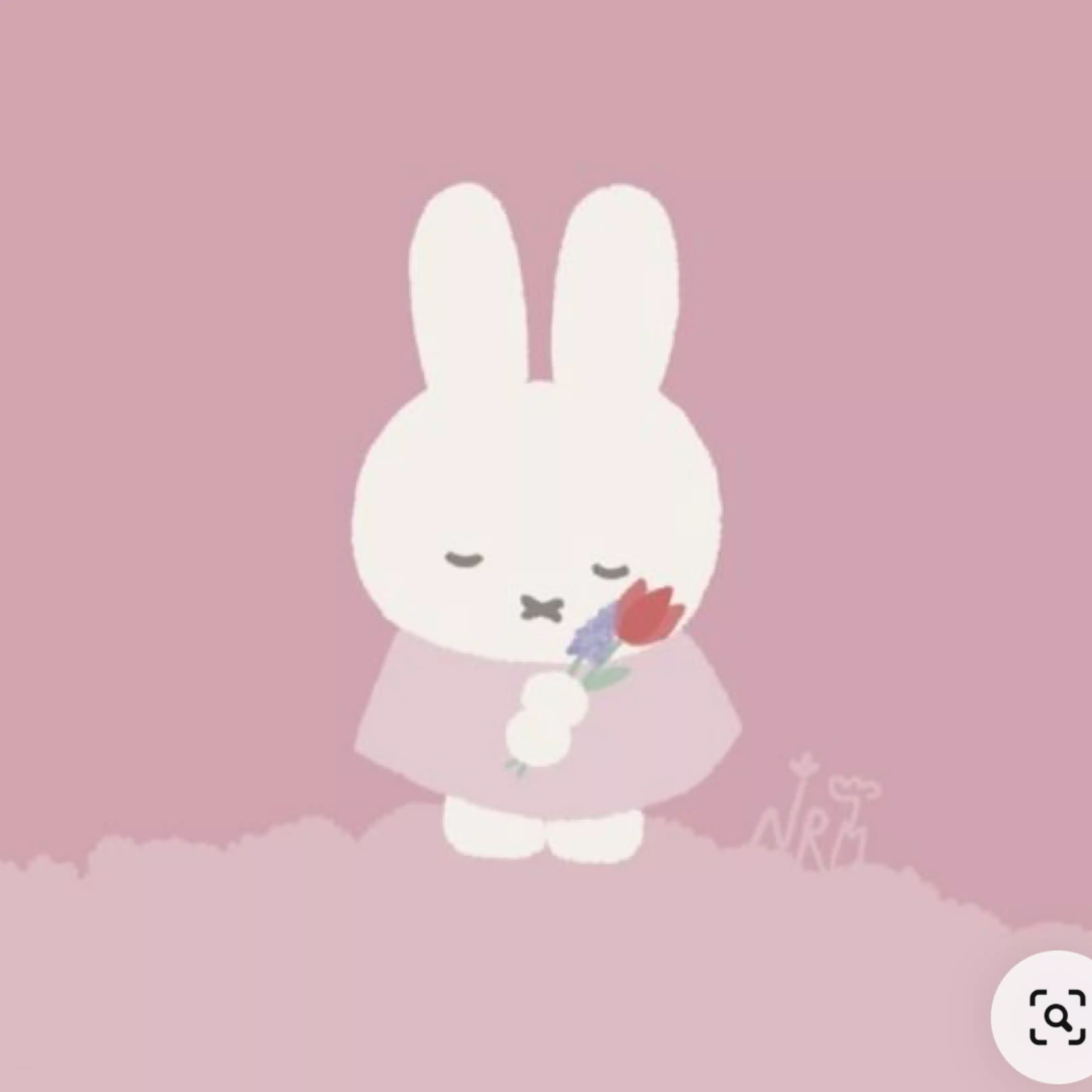 まいやん