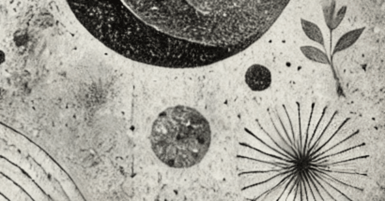 広義の資本と文化資本の多義性｜fendoap