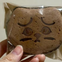 加藤結Newフォトブック「まいにちは冒険」発売記念オフショット等