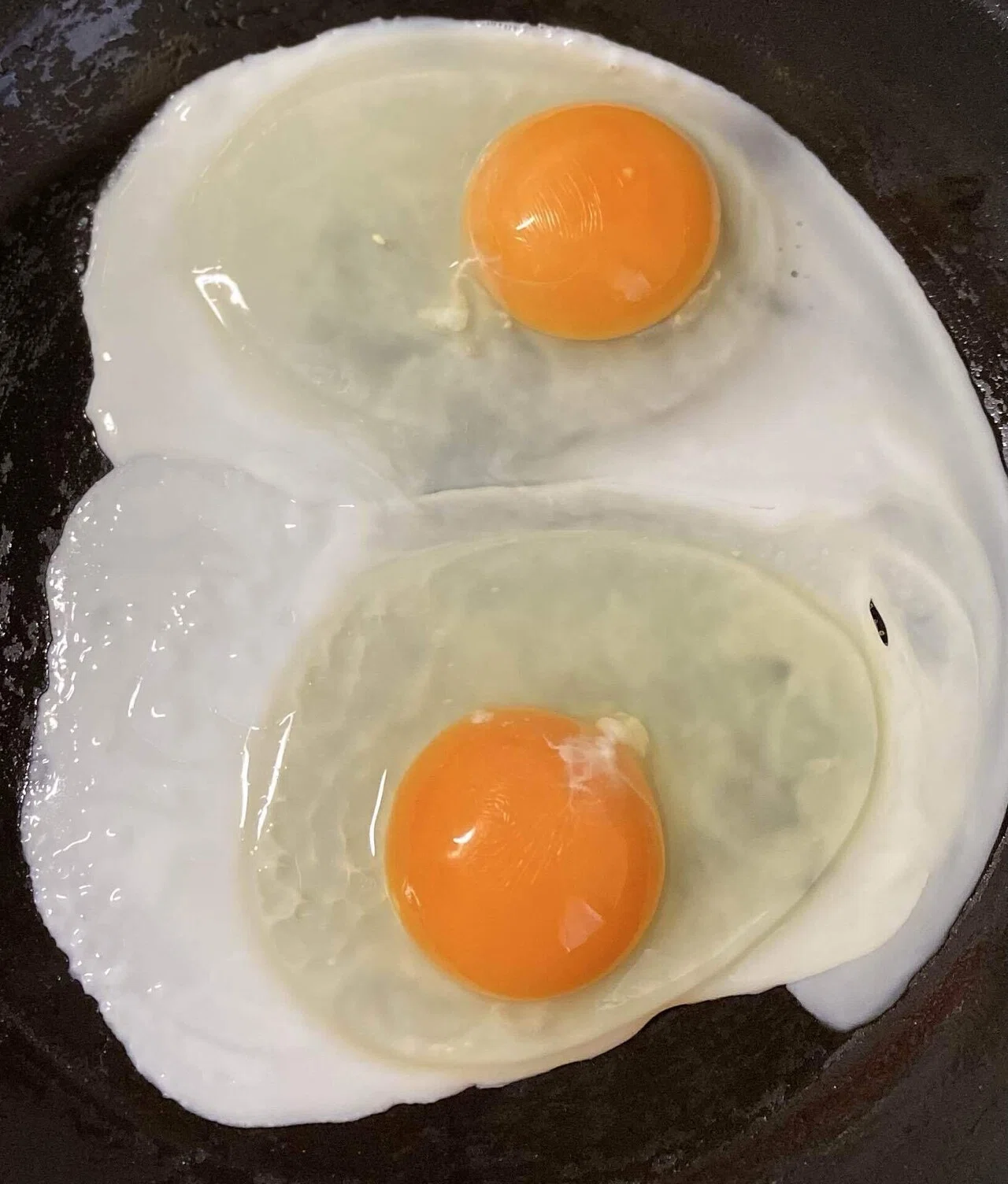 目玉焼き①】10年ぶりに作って食べる。｜おらんじぇっと