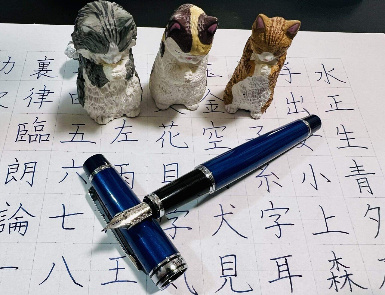 パイロット🇯🇵の万年筆、ステラ90'Sで美文字特訓！7周目終わり٩