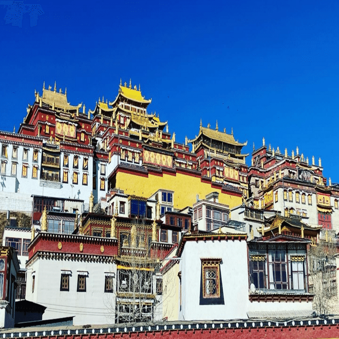 川内家雲南省の旅 12日目 シャングリラの荘厳な寺院で反省＆がっかり