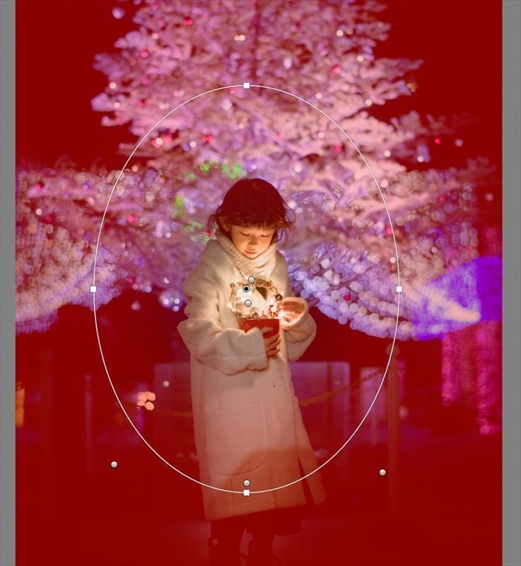 画像14