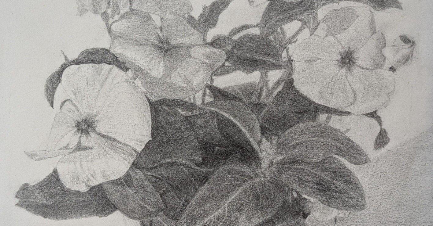 デッサン36回目（花の鉢㉑）｜えのべん