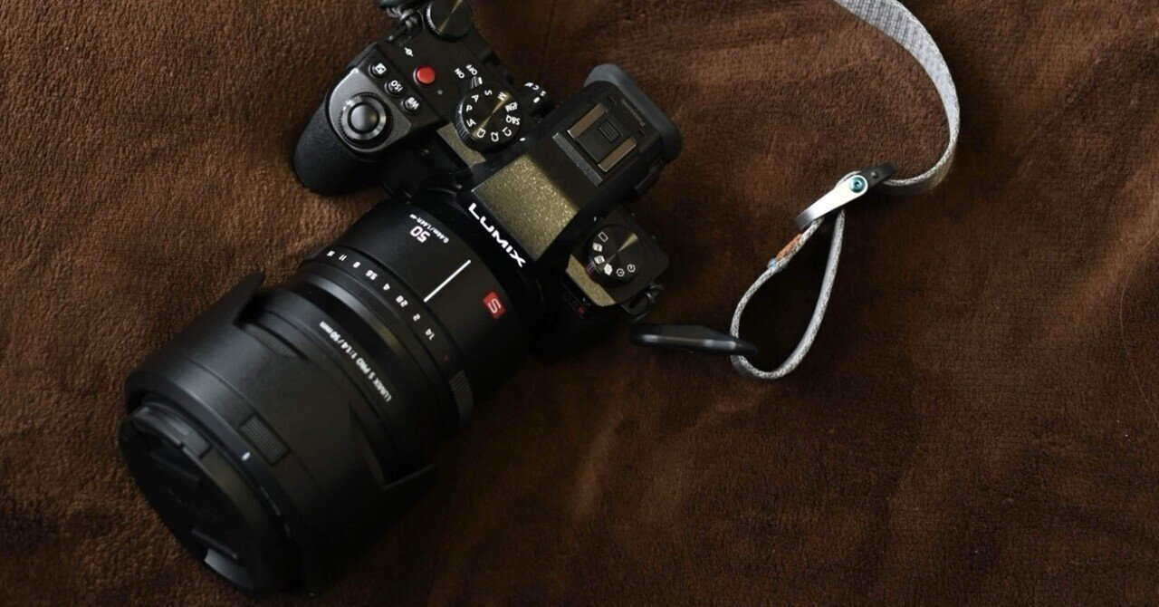 【プロフ必読※購入前にコメントお願いします専用】LUMIX S5IIX