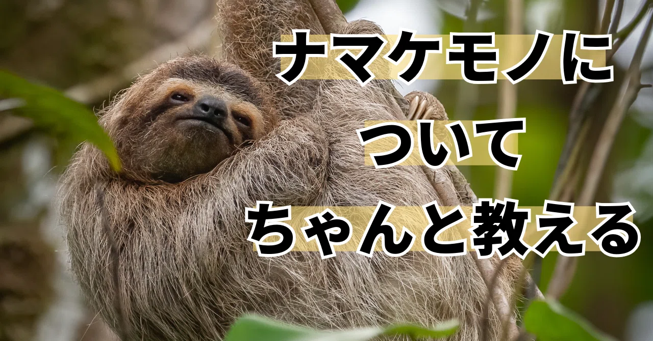 ナマケモノについてちゃんと教える｜ナマケ
