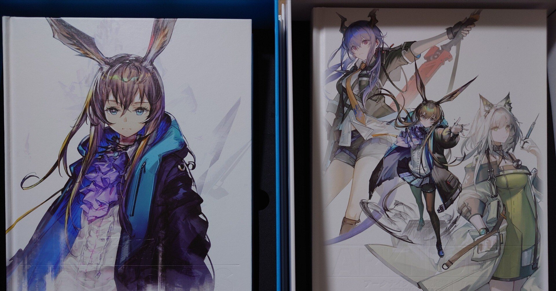 8497fc6330936a54b8d184ad1bc31a