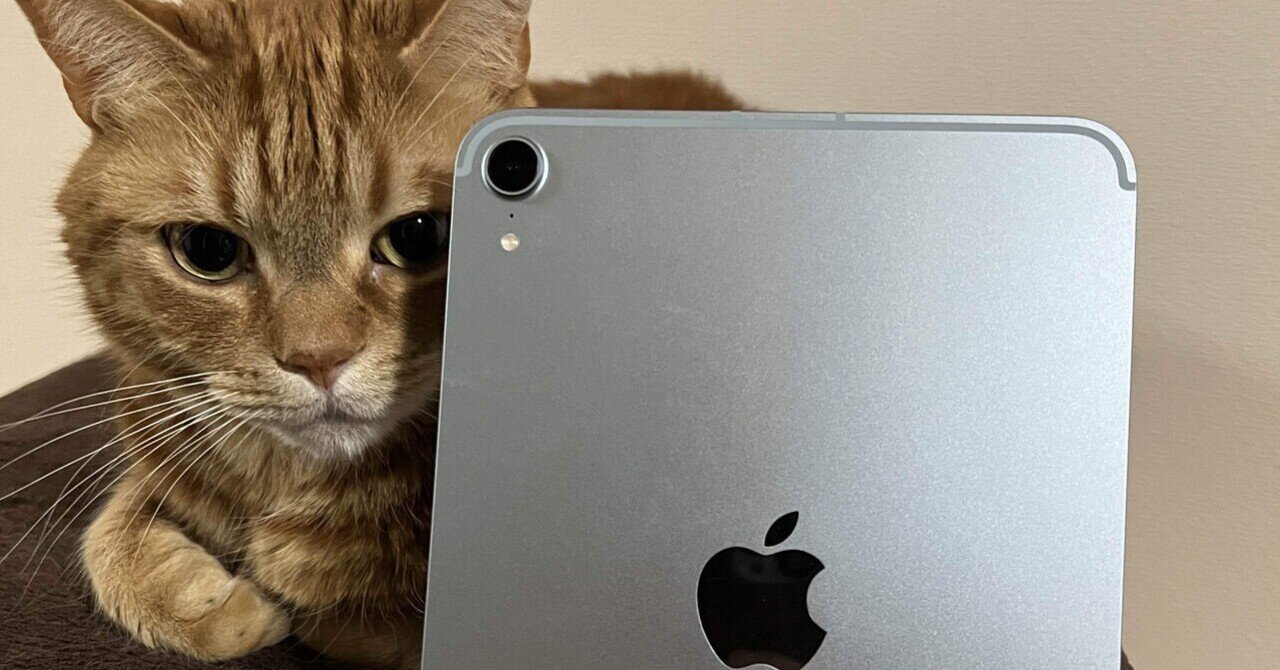 ヒロさま専用】最大容量100%Apple iPad mini 第7世代 〜 第7世代】