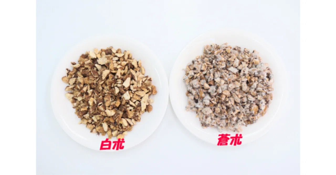 <漢方薬>六君子湯に配合されているのは、白朮?それとも蒼朮?どちらが正解なのか?!|ぷろぷろ
