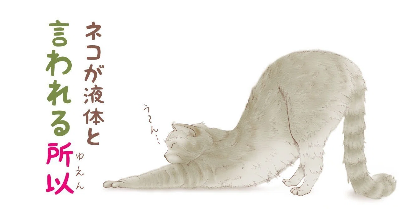Comparing myself to 5 years ago when I wanted to 'have my own words'｜たかなしまき