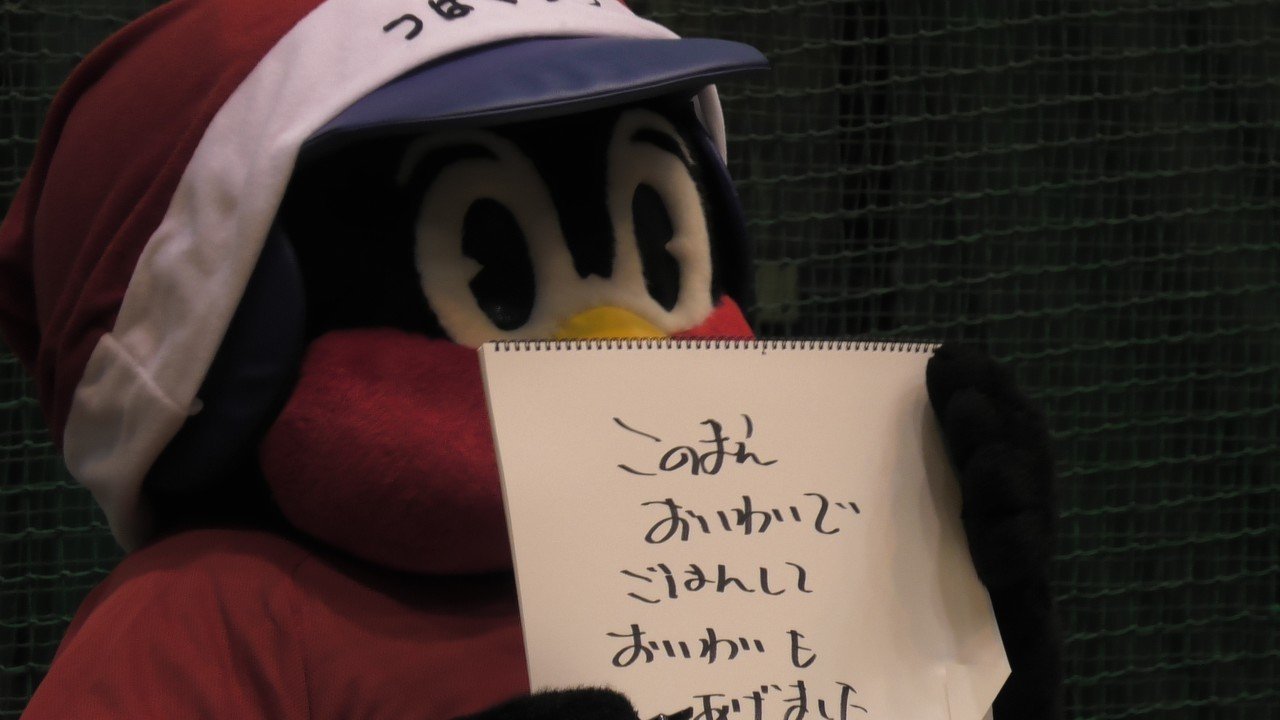 つば九郎　クリスマスパック Amazon.co.jp: つば九郎クリスマスパック ※店舗限定商品