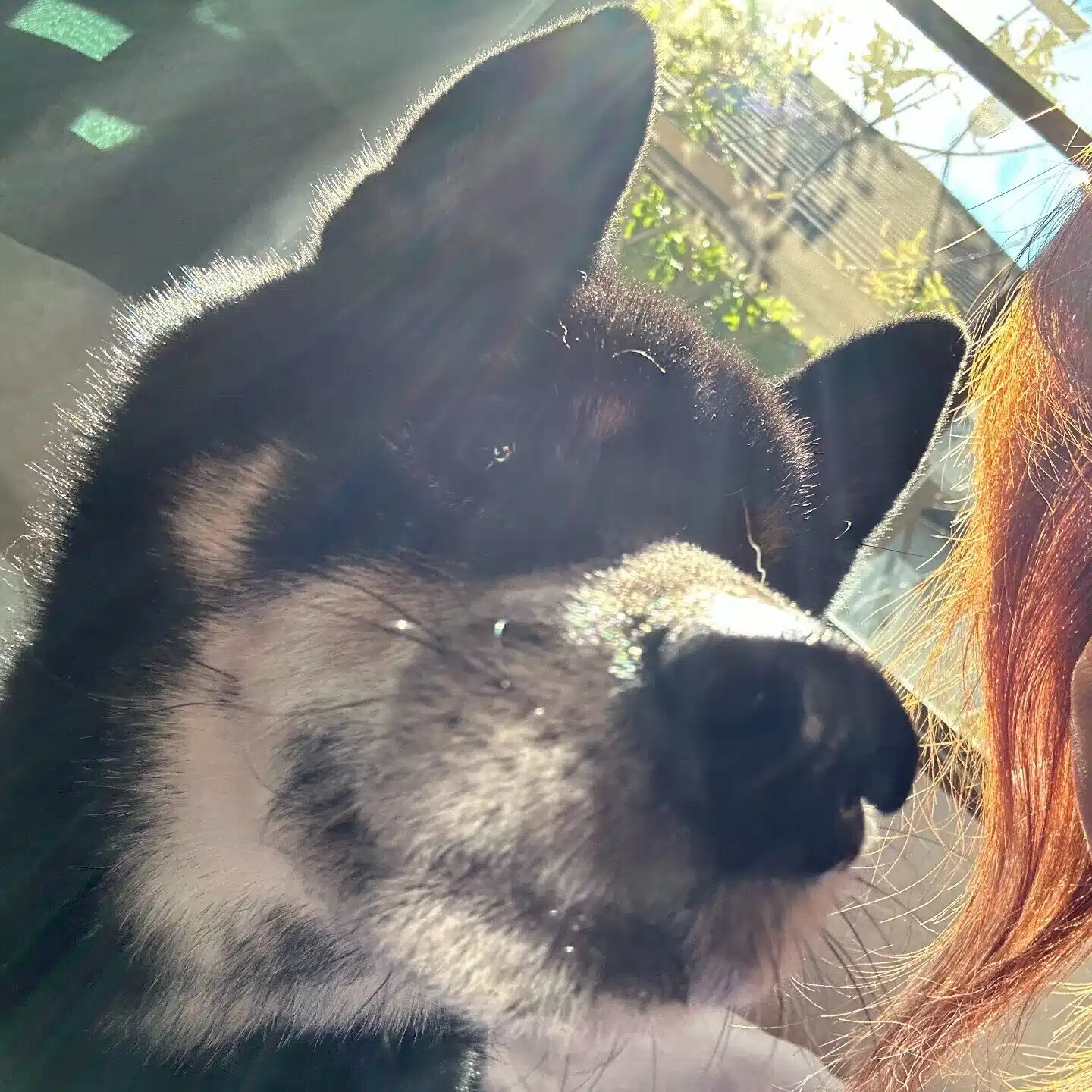 Shibashiba coach 自分の自分を大事にしよう◎他者の自分を大事にするために