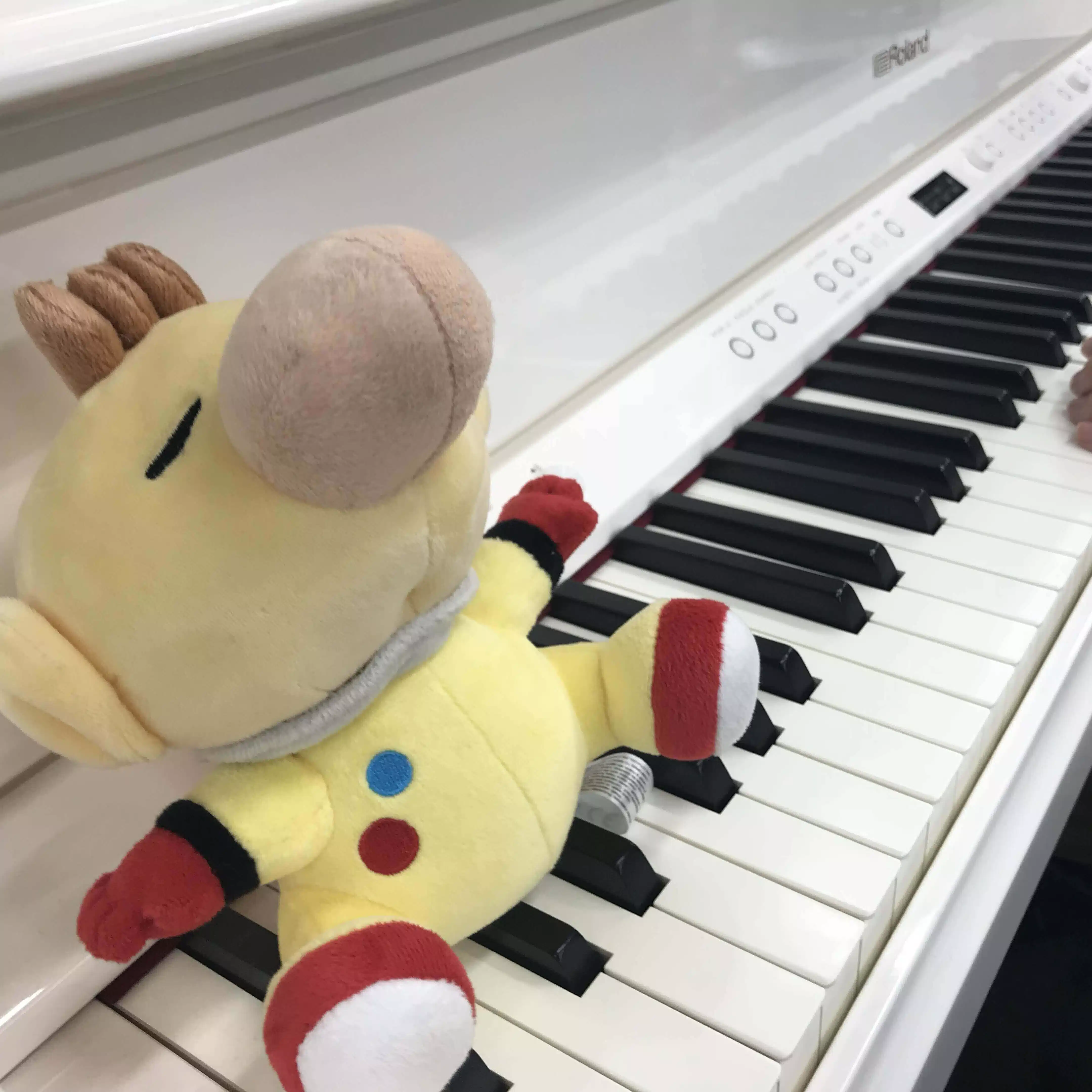 ふーどら