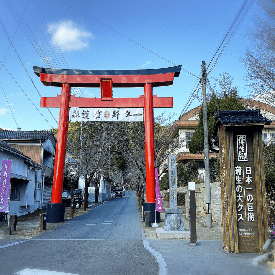 推定樹齢1600年の大楠に会いに蒲生八幡神社へ｜めいこ＠旅するボタン屋