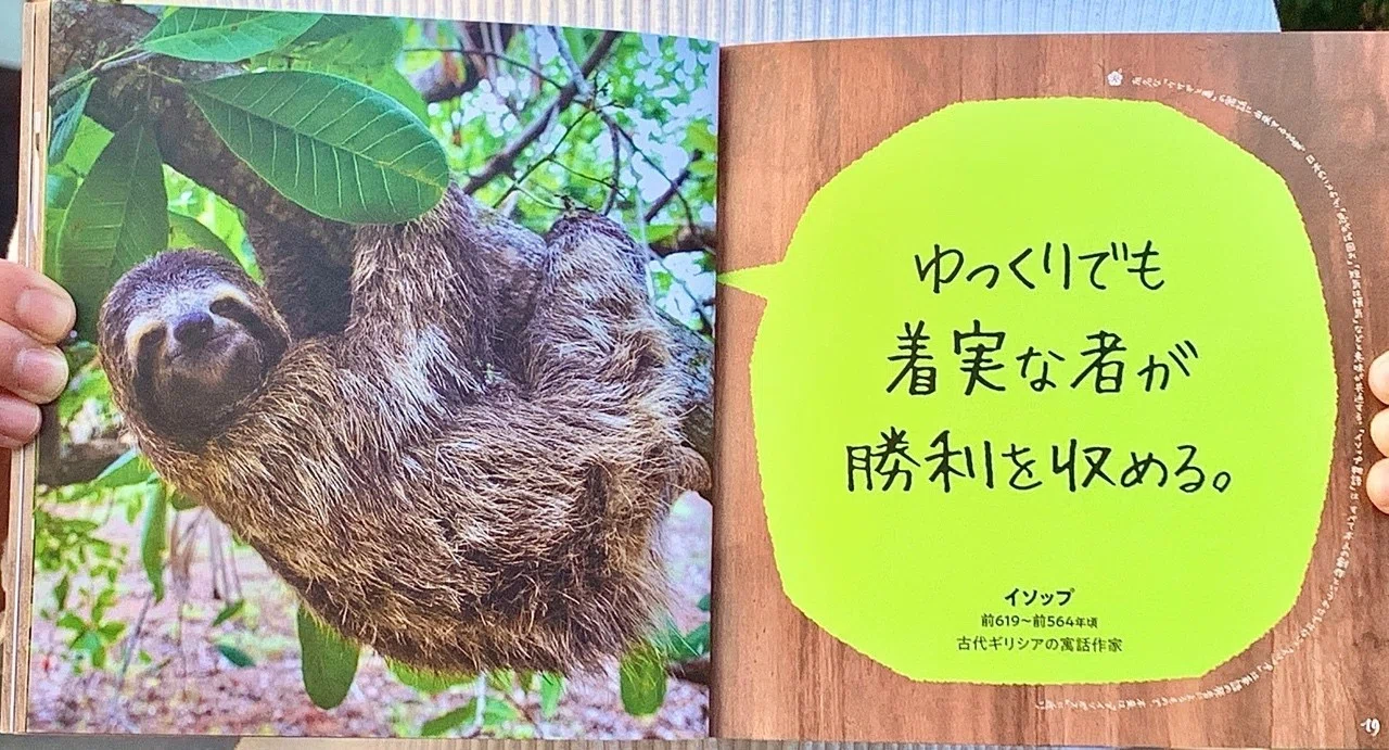 ナマケモノに学ぶ周囲に流されない生き方｜光文社新書