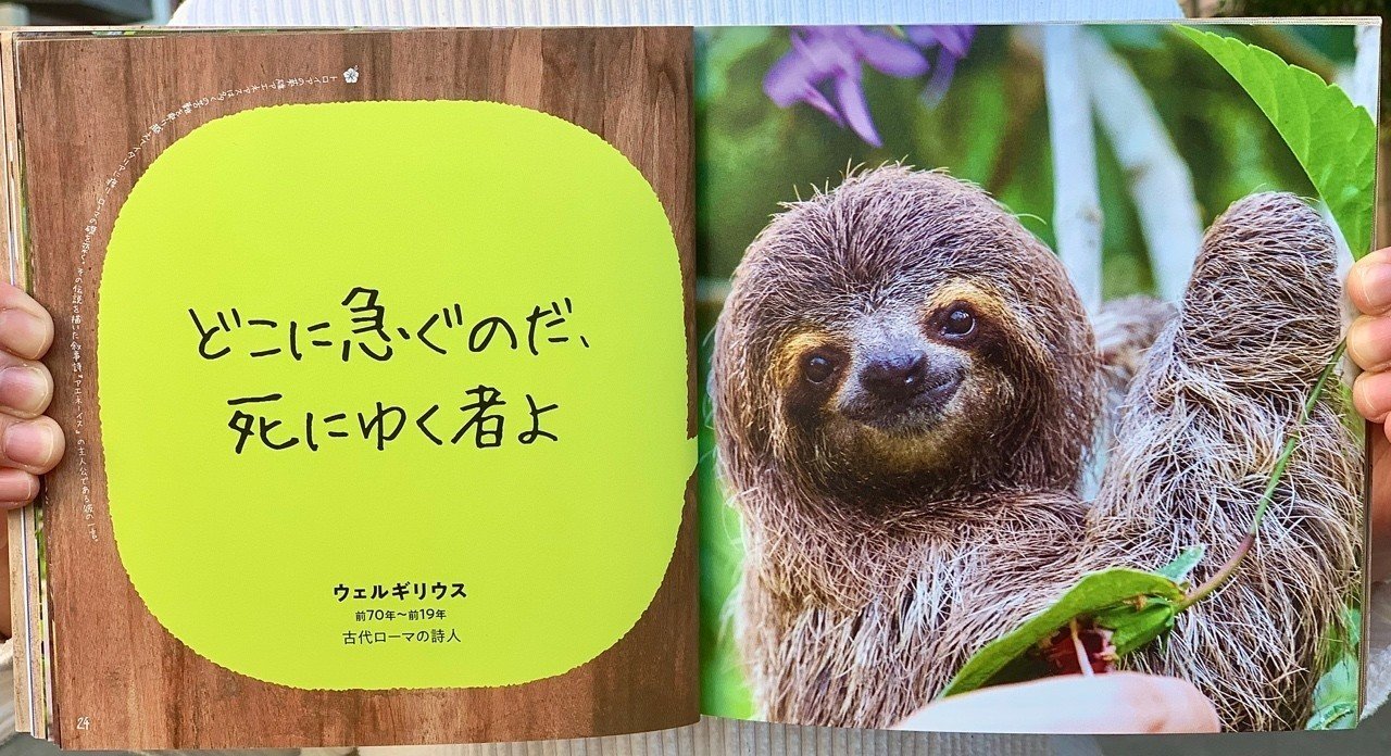 ナマケモノに学ぶ周囲に流されない生き方｜光文社新書