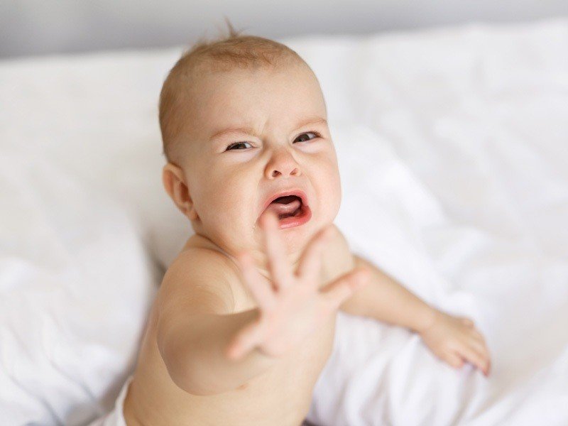 人体実験のじっけん 社会人3年目 Note