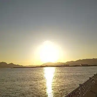 ロベルト縄文