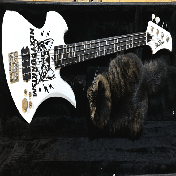 SOPHIA 黒柳能生　ピック 2025年最新】sophia ピックの人気アイテム - メルカリ