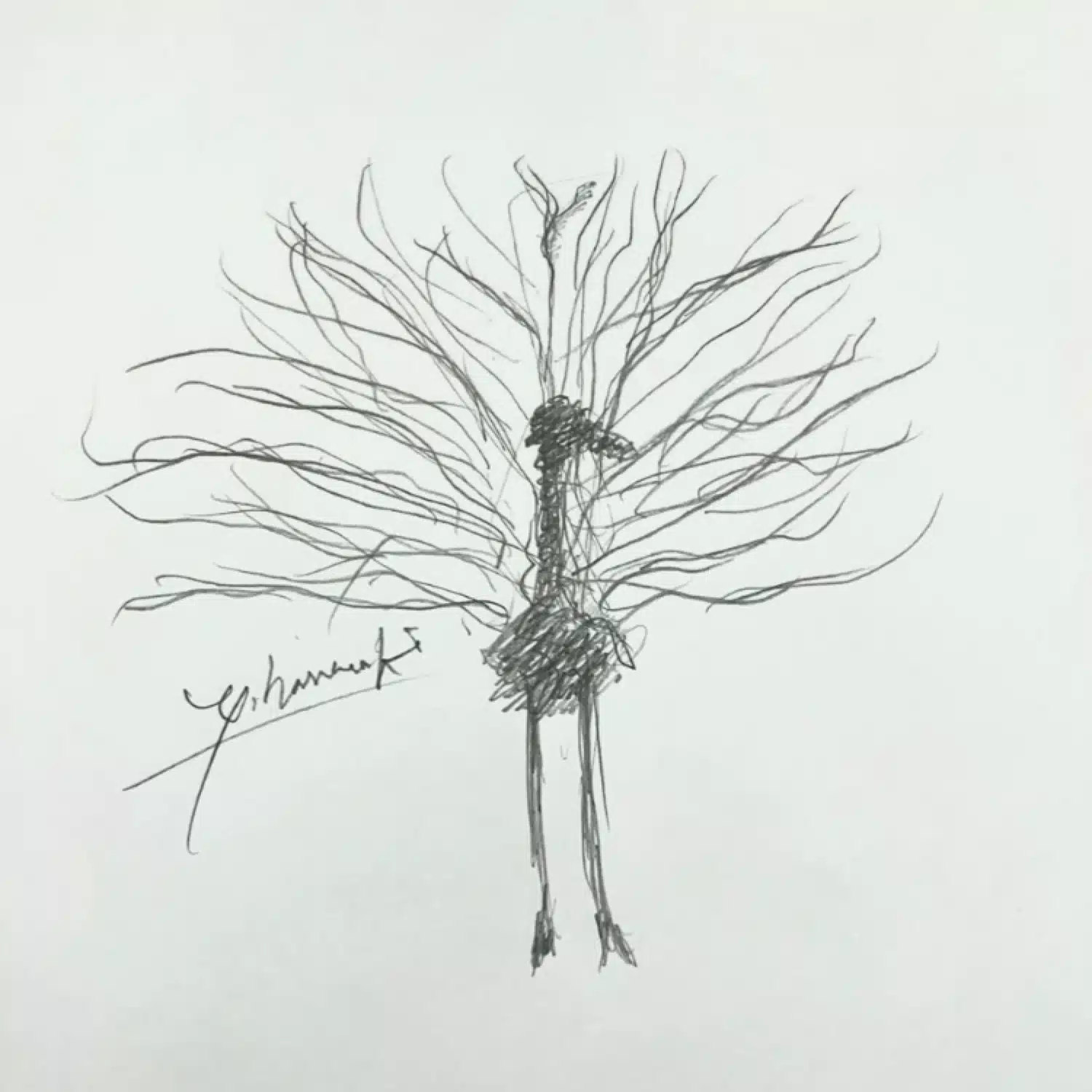 ハナサキユイ