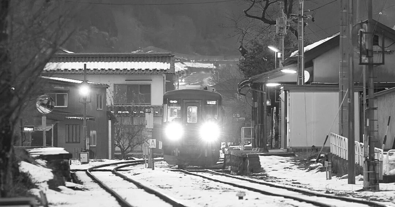 岐阜のローカル鉄道➁｜長良川鉄道｜夏と放し飼い