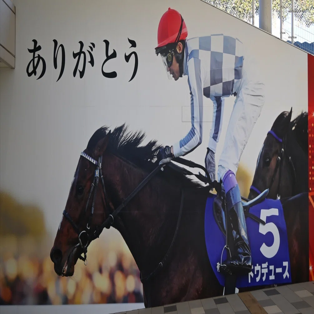 はじめまして】競馬の払戻金で新しいレンズを買いたい｜TODA
