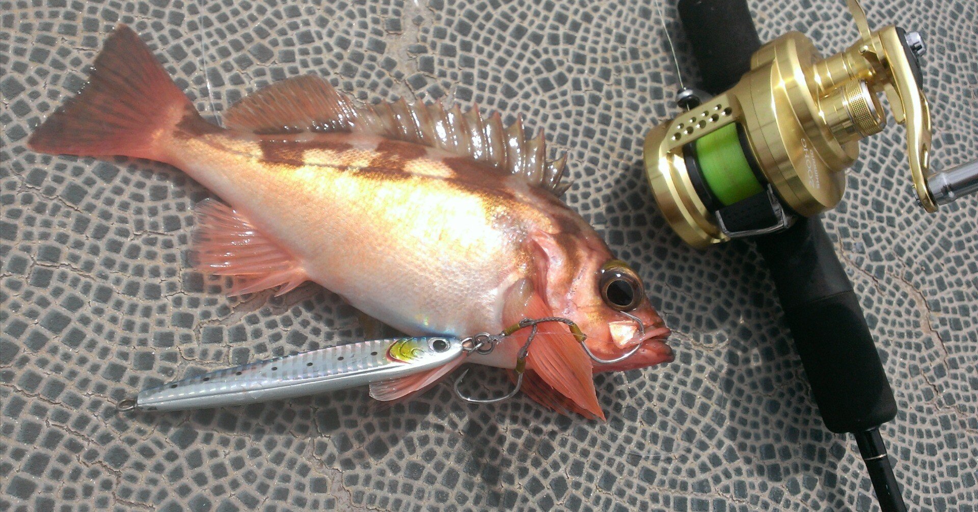 79 スロージギングタックルの選び方～ロッド編～｜生き辛さを、釣りと