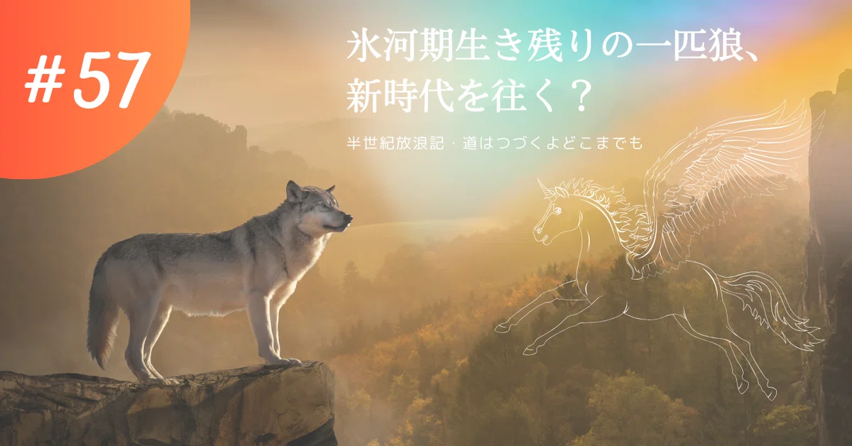 氷河期生き残りの一匹狼、新時代を往く？｜tucyan（半世紀のちリバイブ中）