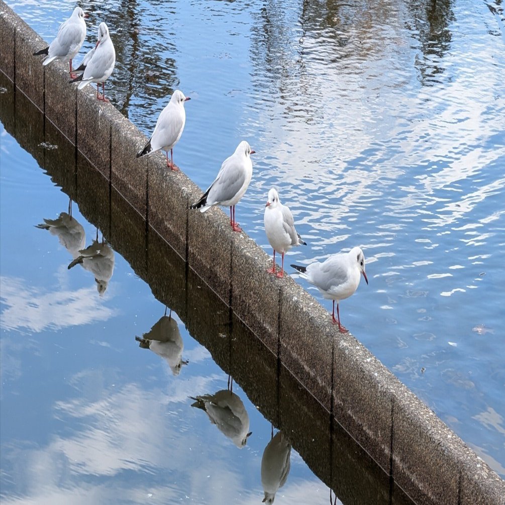 たくさん歩く(津島神社)#567｜やん（矢野達也）