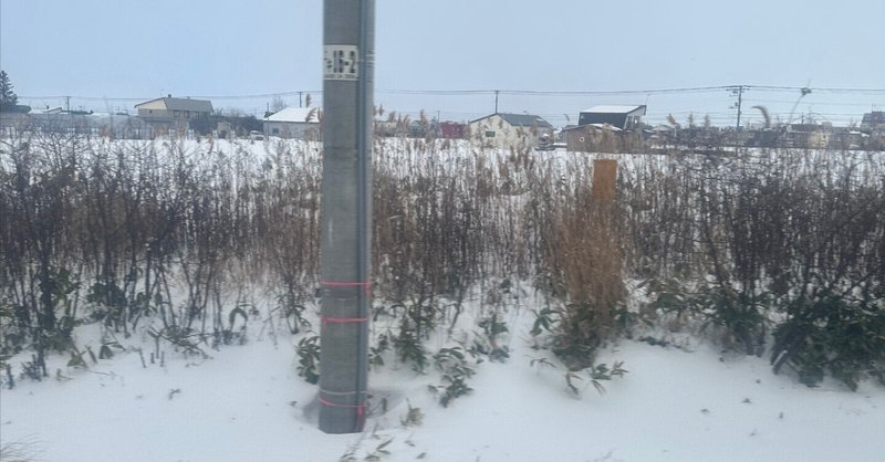 世にも悲しい旅