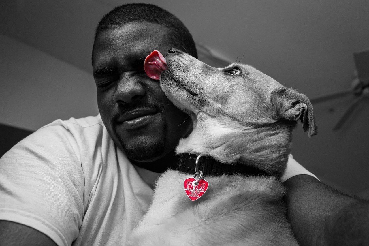 頑張りが報われないあなたに贈る 心理学実践カウンセラー 自分を正しく知って人生変える方法 Note