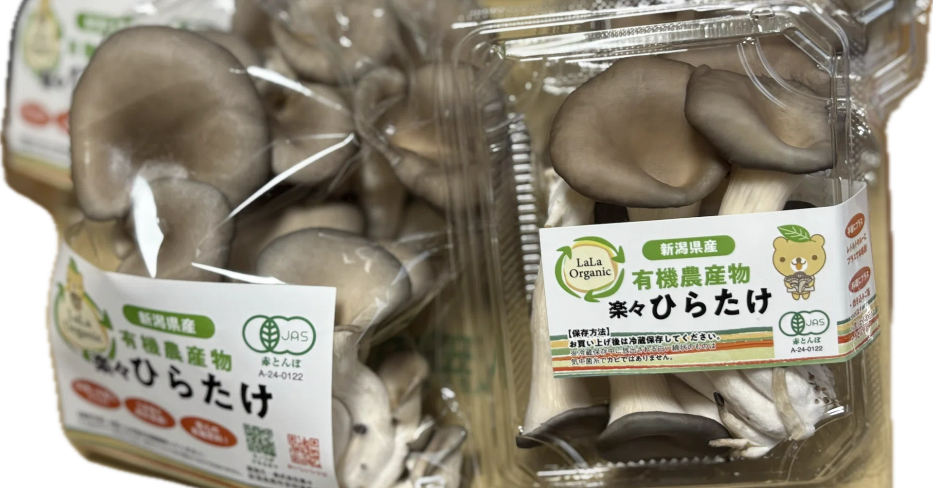 2025年へ踏み出す勇気｜株式会社楽々（らら） CEO 駒場 裕美