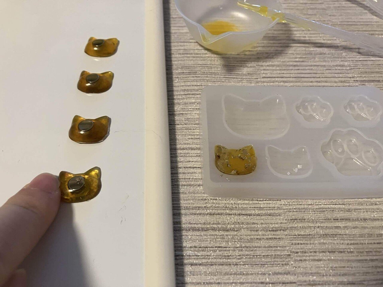 やることを可視化するとQOLが上がるよ〜！猫のお世話当番表を作りまし