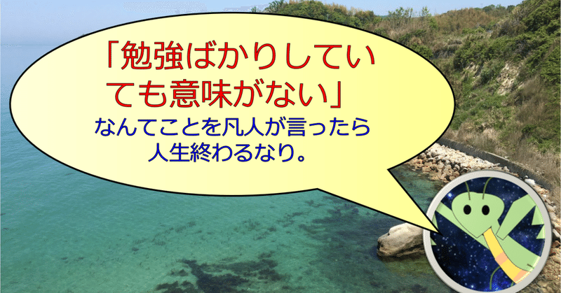 勉強ばかりしていても意味がない なんてことを凡人が言ったら人生終わるなり 物理 プログラミング Python Web制作 自己啓発 Note