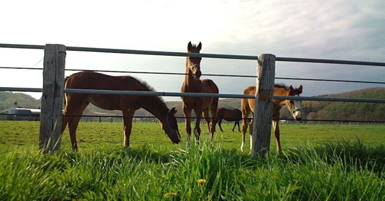 馬の瞳を見つめて(増補版) 04｜渡辺はるみ