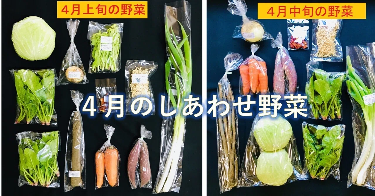 端境期（はざかいき）｜しあわせ野菜畑代表