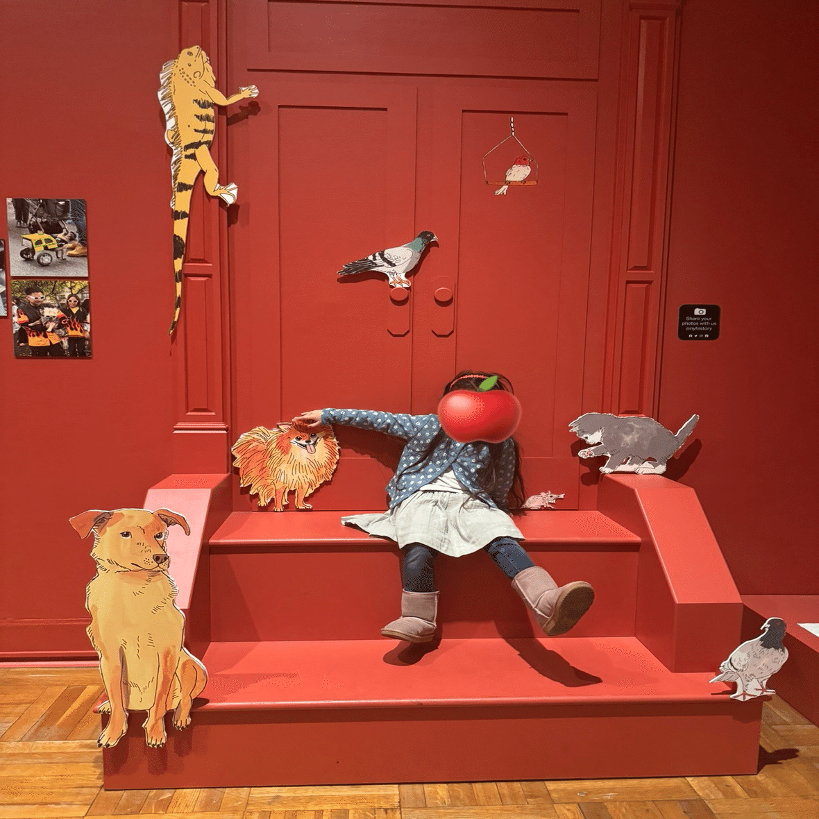 ニューヨークで毎日困ってます】ニューヨーク歴史協会 トンボだらけの