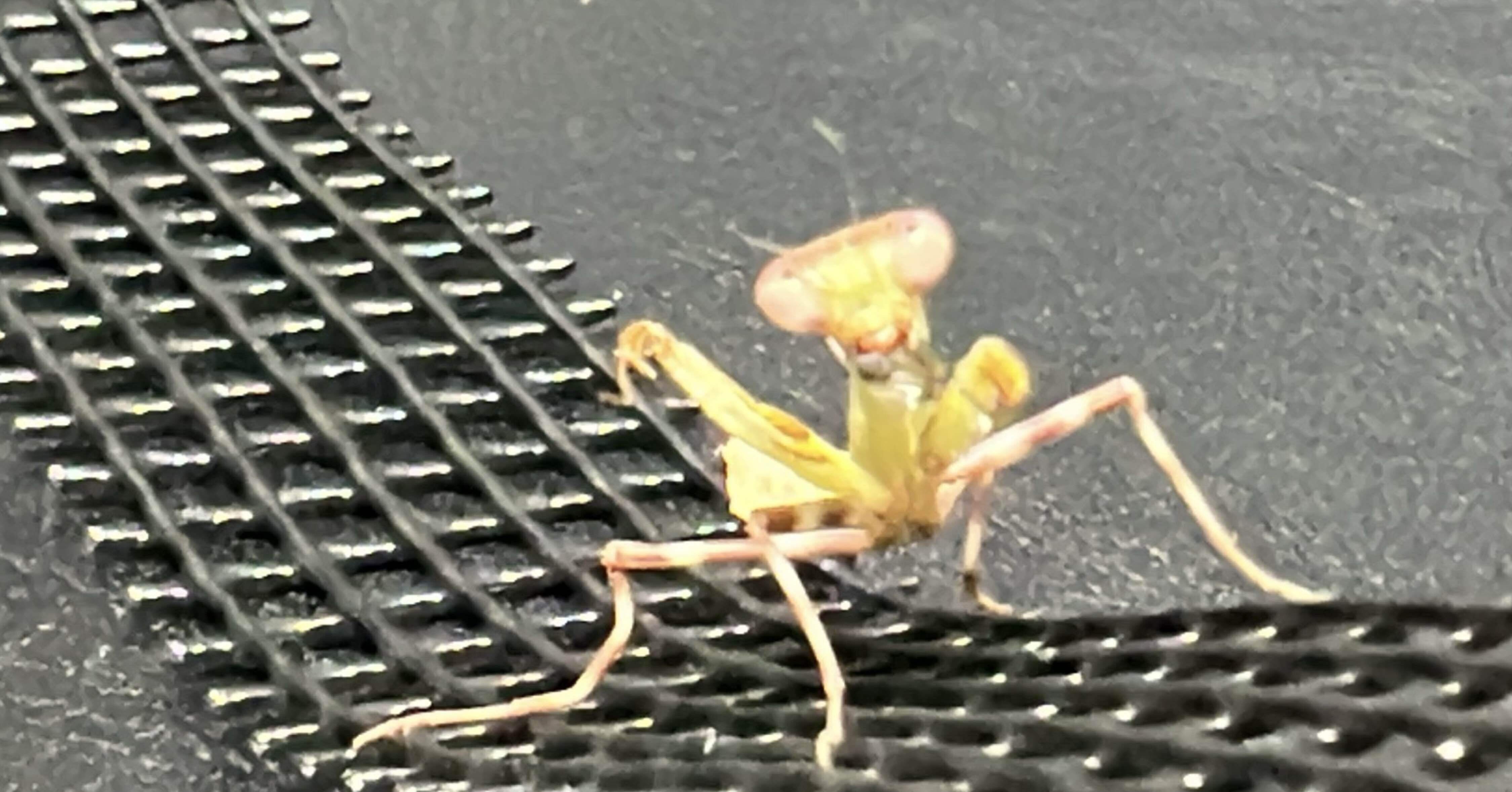 b1ede670d9a6155ac6f44d2577c0ef