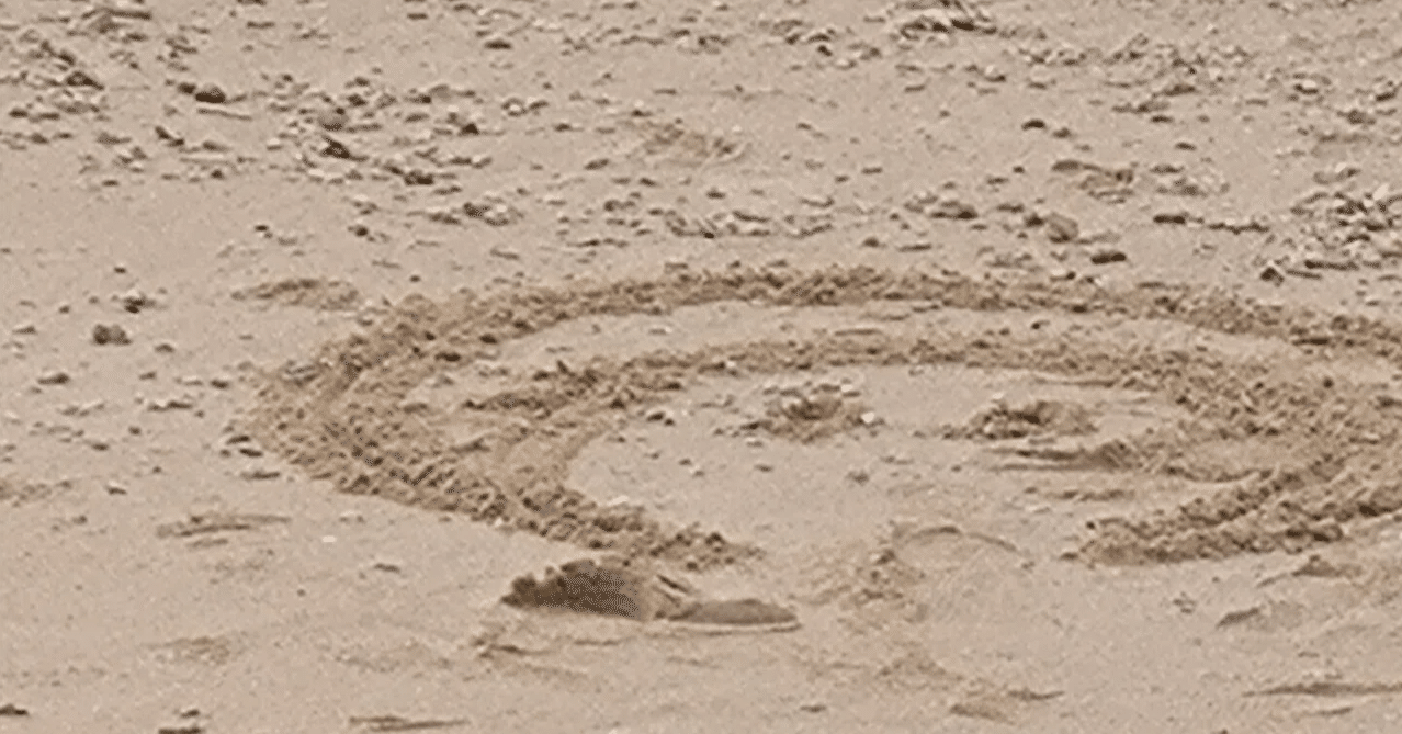 ちょっとマイウェイ 70年代ドラマ「ちょっとマイウェイ」が好きだった | ゆるふわ日記