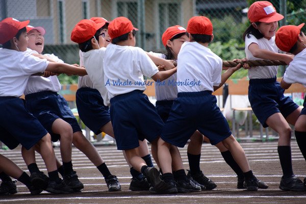 今年は、姉娘小学校生活最後の運動会。応援に集中するために、あまり写真は撮りませんでした。