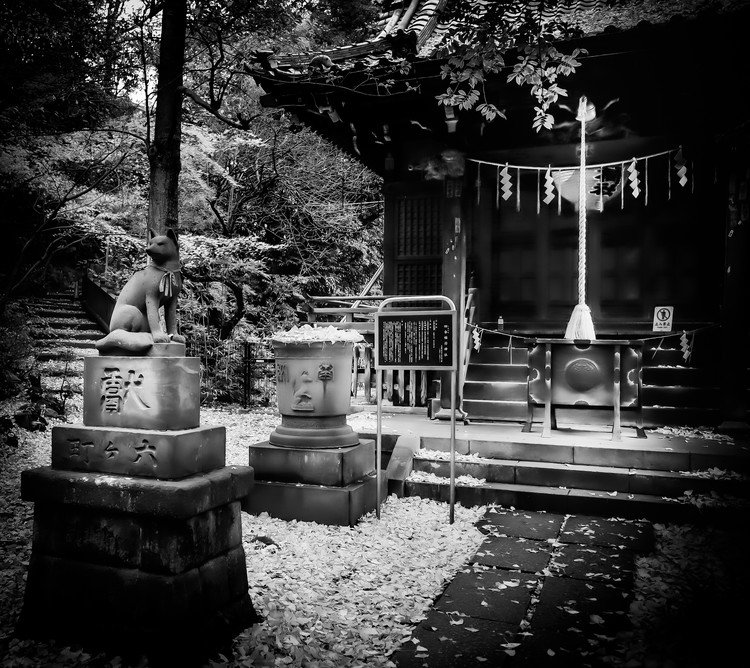 @ Hikawa-jinja Shrine, Akasaka, #Tokyo.  #写真好きな人と繋がりたい　#赤坂　#氷川神社　#ふるさとの風景